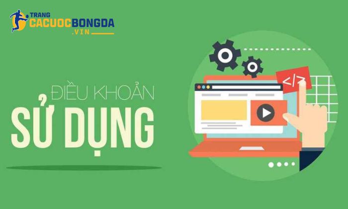 Giới thiệu sơ lược về điều khoản sử dụng tại các nhà cái
