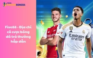 Five88 - Địa chỉ cá cược bóng đá trả thưởng hấp dẫn