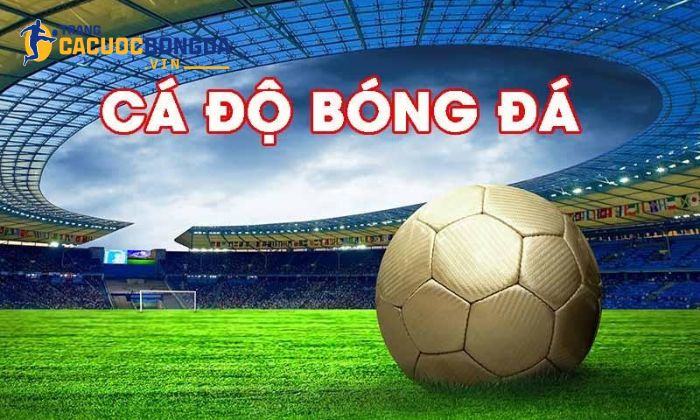 Cam kết của chúng tôi với người chơi