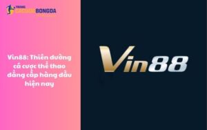 Vin88: Thiên đường cá cược thể thao đẳng cấp hàng đầu hiện nay